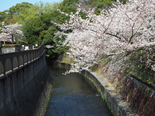 2020/04/02哲学堂